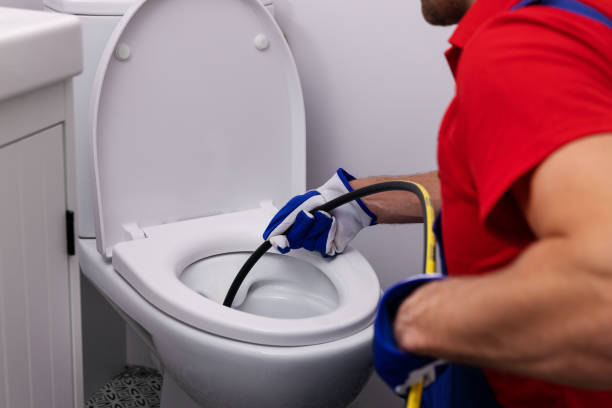 Best Clogged Drain Plumber  in Montrose, MN