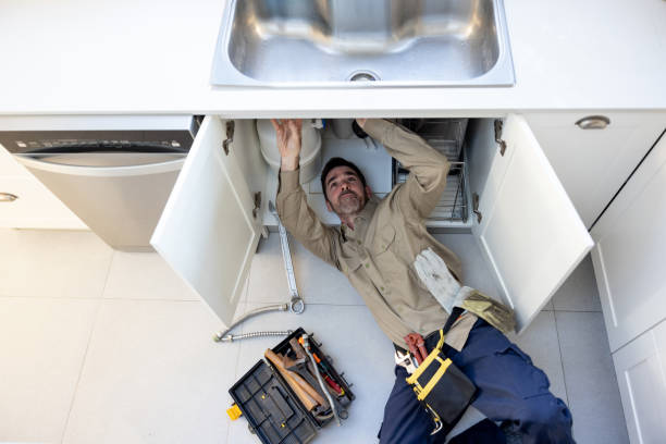 Best Local Plumber Services  in Montrose, MN